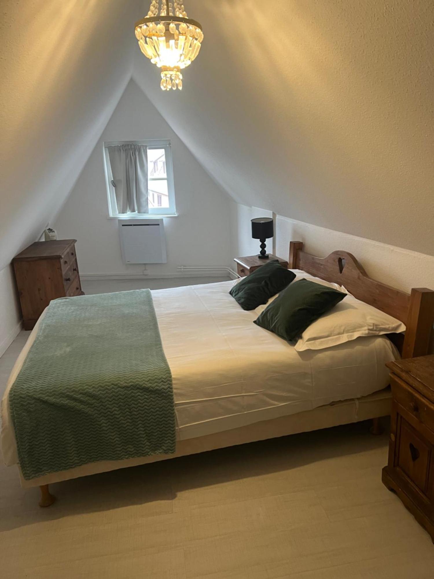 Les Appartements Du Koifhus Colmar Dış mekan fotoğraf